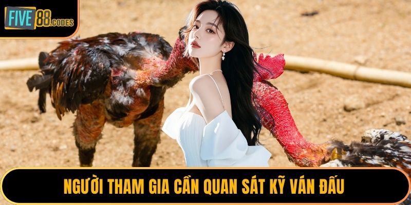 Người tham gia cần quan sát kỹ ván đấu